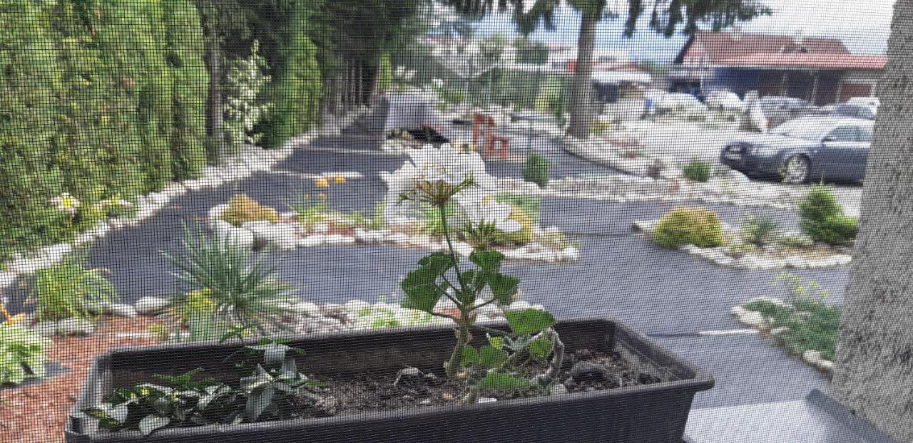 Apartman Yvet Sucany Luaran gambar
